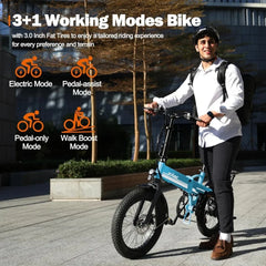 Electric Bike for Adult's 750W Motor