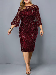 Lace Lovers Plus Size Dress